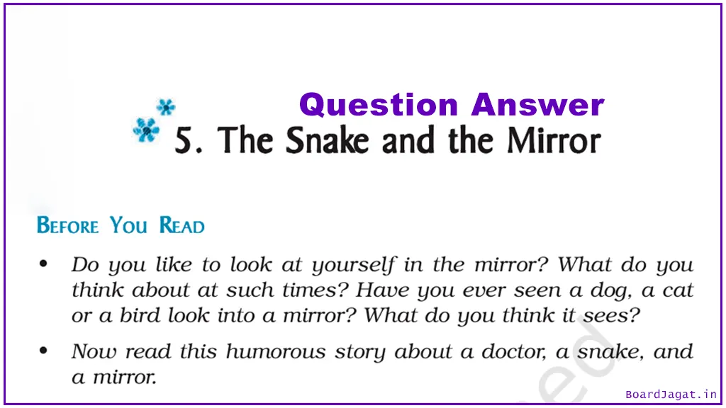 The Snake and the Mirror Question Answer Class 9 English