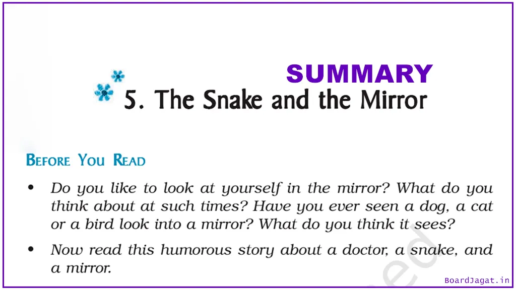 The Snake and the Mirror Summary Class 9 English