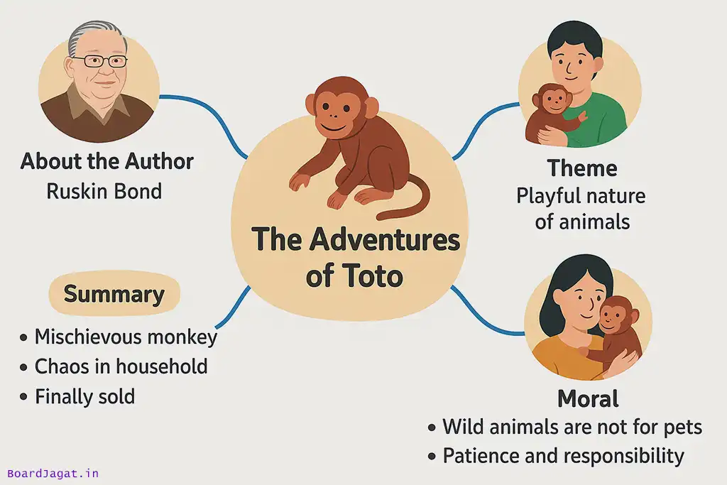 The Adventures of Toto Mind Map Drawing