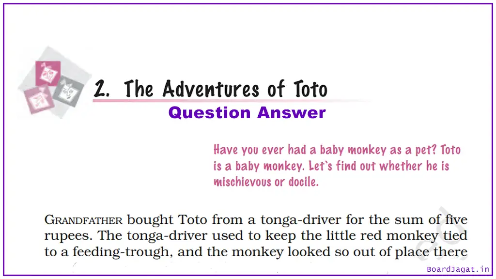 The Adventures of Toto Question Answer Class 9 English
